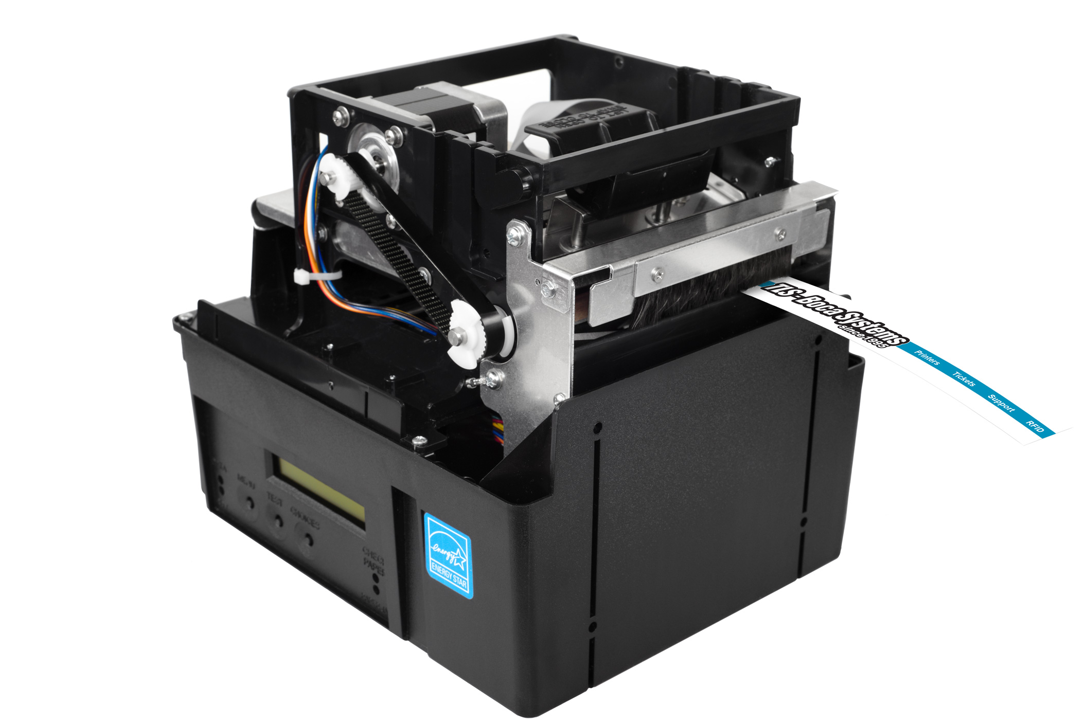 Lemur-WB