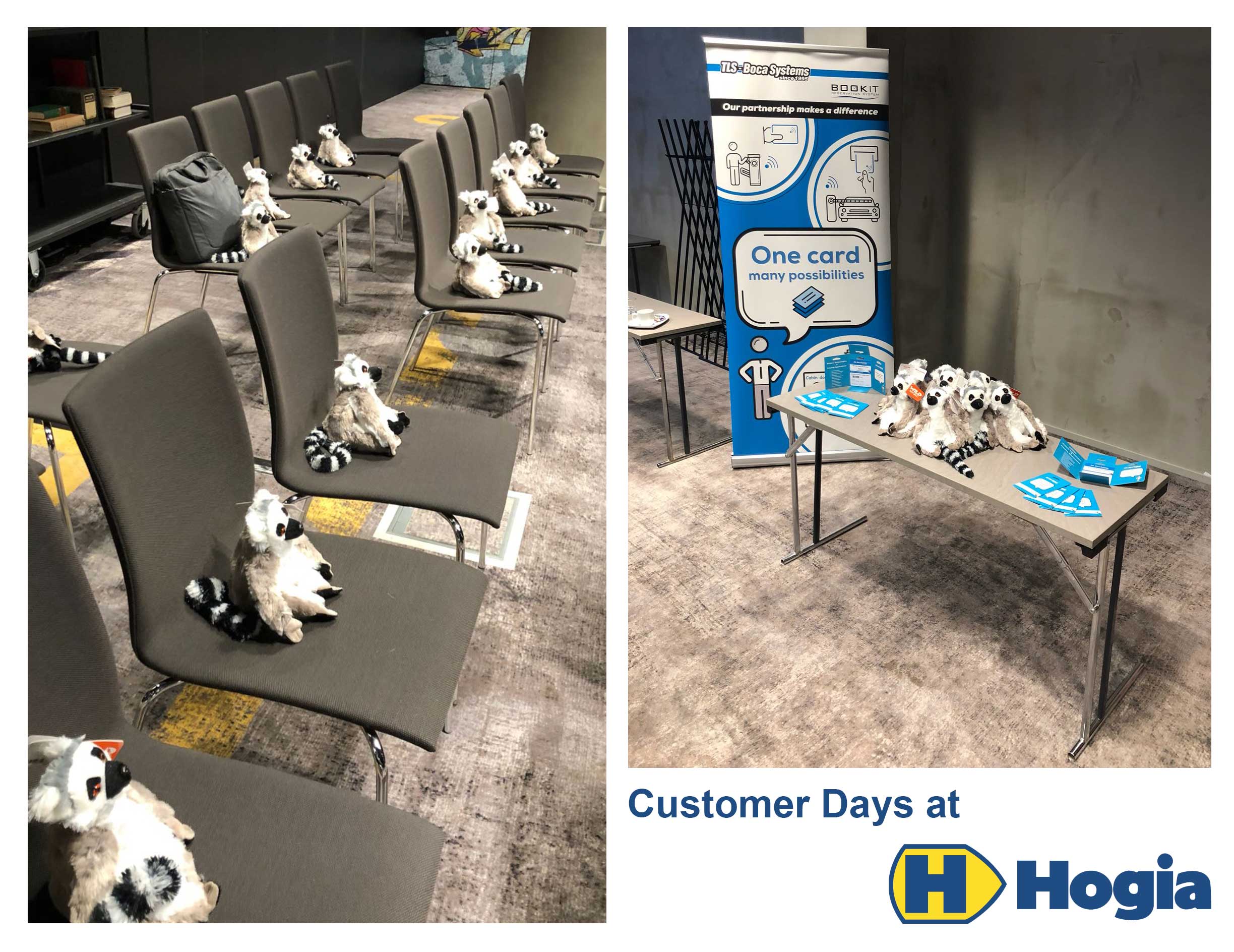 The BOCA Lemurs are taking over the Hogia Customer Days!