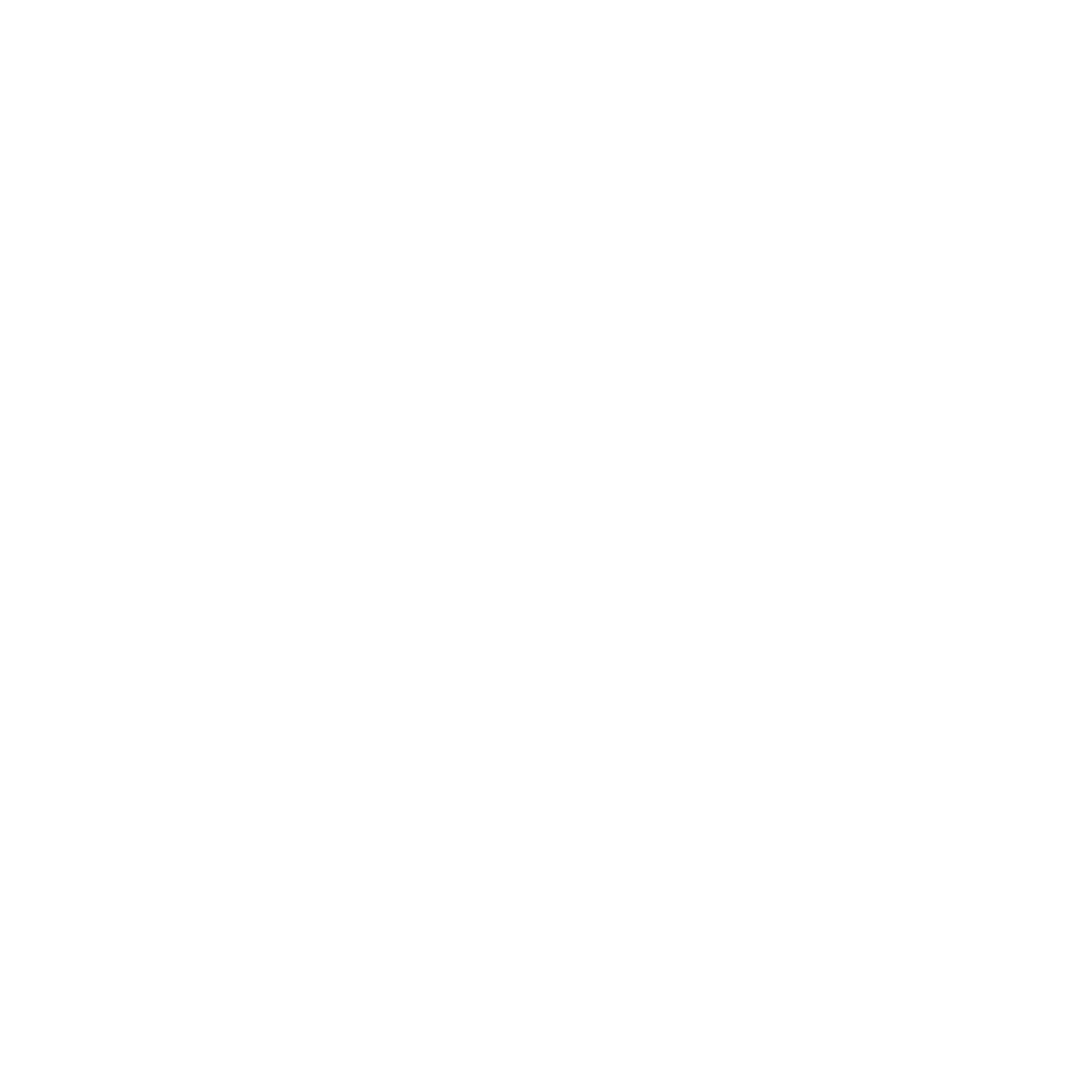 boca lemur logo